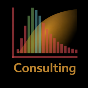 DLOM Consulting 2H